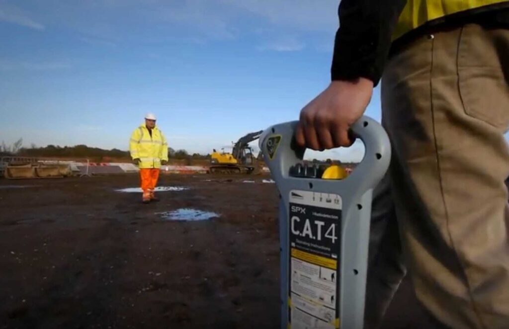 cat and genny training